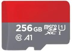 Realstic EVO Plus 256 GB MicroSD Card Class 10 240 MB/s Memory Card