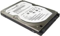Seagate 320 GB Internal Hard SGT320 320 GB Laptop Internal Hard Disk Drive