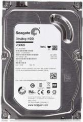 Seagate ST250DMPP OEM 250 GB Desktop Internal Hard Disk Drive (HDD, Interface: SATA, Form Factor: 3.5 inch)