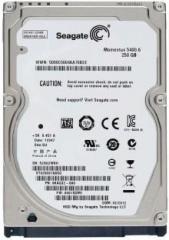 Seagate ST9250P OEM 250 GB Laptop Internal Hard Disk Drive