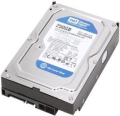 Wd 250 BLUE P BLUE 250 GB Desktop Internal Hard Disk Drive (HDD)