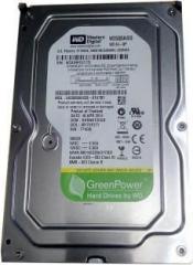 Wd Wd5000AVDSP GREEN POWERP 500 GB Desktop Internal Hard Disk Drive