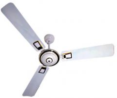 ACS Ceiling Fan 48 inch  Beat