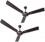 Activa 1200 ACT COROLLA SMB 2 Ceiling Fan Brown