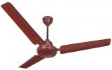 Activa 1200 mm 5 star Bold Ceiling Fan Brown