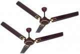 Activa 1200 mm 5 star Galaxy Deco Ceiling Fan Brown Pack of two