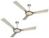 Activa 1200 mm 5 star Windsor Anti dust Ceiling Fan Bronze Ivory Pack of Two