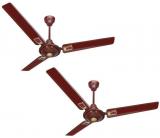 ACTIVA 48 5 Star APSRA DECO Ceiling Fan Brown Pack of Two