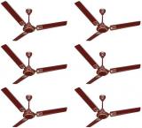 ACTIVA 48 5 Star GALAXY DECO Ceiling Fan Brown Pack of Six