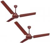 ACTIVA 48 Bold 5 Star Ceiling Fan Brown Pack Of Two
