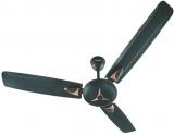 Candes 1200 StarB1CC Ceiling Fan Brown