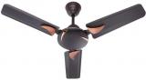 Candes 900 36ArenaB1cc Ceiling Fan Brown