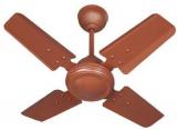 Narayans 600 VICTOR 900 RPM Ceiling Fan Brown