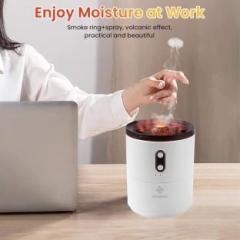 Evrum Air Purifying Natural for Car Rooms Home Portable Room Air Purifier Portable Room Air Purifier