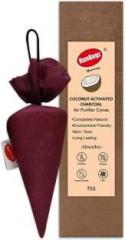 Runbugz Coconut Activated Charcoal Cone, Odor Absorber for Indoor, Fridge Air Purifier