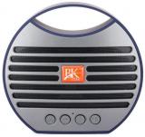 BK STAR BK 251 Bluetooth Speaker