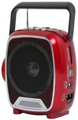 Landmark Fm Radio Player White With Usb And Torch