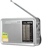New AM/FM Radio Mini Protable Digital World Radio Receiver With Telescopic Antenna Strap Aux Earphone Jack Built In Speaker