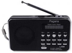 Pagaria Digital Usb Fm Radio Player Black