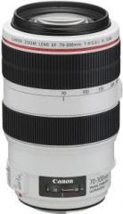 Canon EF 70 300 mm f/4 5.6L IS USM Lens