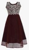 Aarika Brown Embellished Fit And Flare Dress women