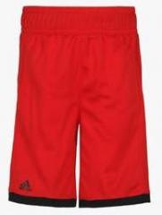 Adidas Court Tennis Red Shorts boys