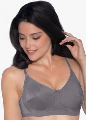 Amante Grey Solid Non Wired Non Padded T Shirt Bra women