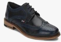 Arrow Navy Blue Brogue Formal Shoes men