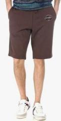 Basics Brown Solid Shorts men