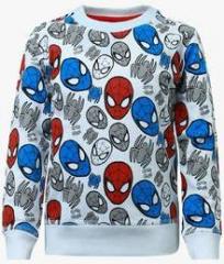Spiderman Multicoloured Sweater boys