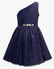 The Cranberry Club Navy Blue Party Frock girls