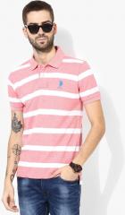 U S Polo Assn Pink Striped Regular Fit Polo T Shirt men