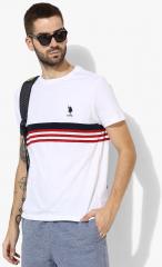 U S Polo Assn White Striped Regular Fit Round Neck T Shirt men