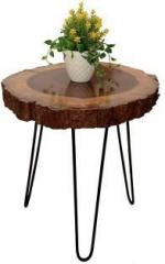 Anb Enterprises Engineered Wood Coffee Table