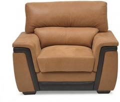 @home Maxwell Single Seater Sofa in Brown Colour