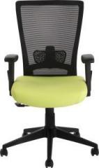 Bluebell VIVO ERGONOMIC MED BACK REVOLOVING/EXECUTIVE/WORKSTATION CHAIR WITH ADJUSTABLE LUMBER SUPPORT, ADJUSTABLE ARMS AND BREATHEABLE MESH BACK Mesh Office Executive Chair