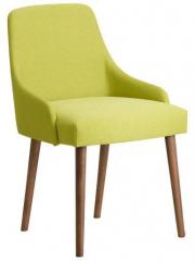 CasaCraft Celano Chair in Green Color
