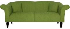 CasaCraft Paulina Three Seater Sofa in Fern Green Colour