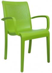 Cello Ecstasy Elegant Chair Set of Two in Green Colour