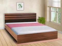 Delite Kom Chocoa Engineered Wood King Bed