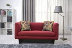 Febonic NIKKI Fabric 2 Seater Sofa
