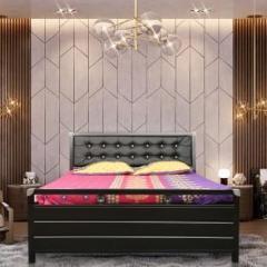 Flipkart Perfect Homes CARNIVAL Metal Double Hydraulic Bed