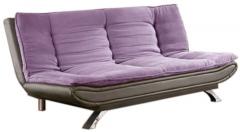 Furny Edo Dual Tone Sofa Cum bed in Purple Colour