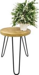 Glorieux Art Solid Wood End Table
