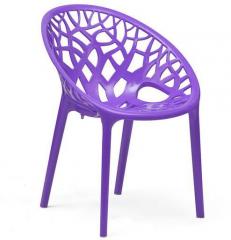 Nilkamal Crystal Polypropylene Chair in Violet Colour