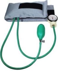 Dishan Sphygmomanometer Aneroid Type Manual Blood Pressure Apparatus Green Bp Monitor