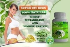 Vaasudevay Green Coffee super fat loss Body Fat Analyzer