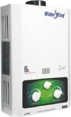 Water King 6 Litres 6L Gold Instant Gas Water Heater (White)