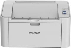 Pantum P2200 Laser Printer Single Function Monochrome Printer