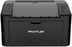 Pantum P2500 Single Function Monochrome Printer